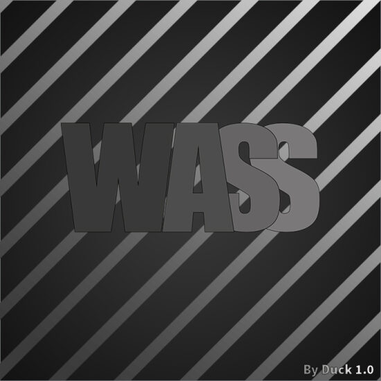 Logo WASS